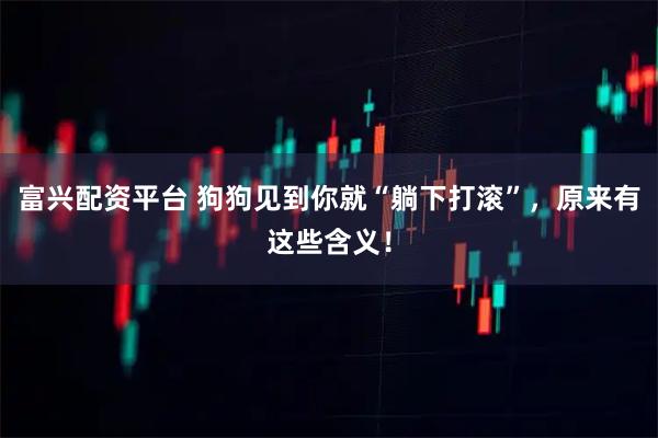 富兴配资平台 狗狗见到你就“躺下打滚”，原来有这些含义！