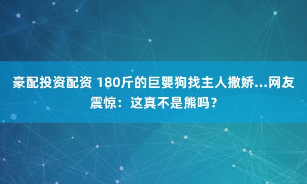 豪配投资配资 180斤的巨婴狗找主人撒娇...网友震惊：这真不是熊吗？