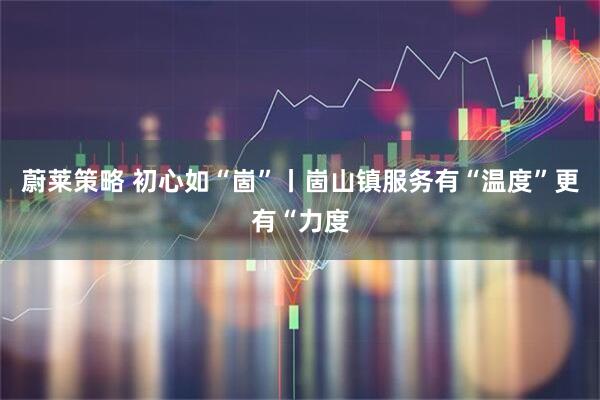 蔚莱策略 初心如“崮”丨崮山镇服务有“温度”更有“力度