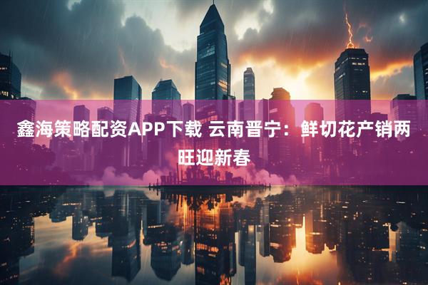 鑫海策略配资APP下载 云南晋宁：鲜切花产销两旺迎新春